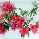 flowering-azelea-44x54cm