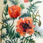 garden-poppies-53x61cm