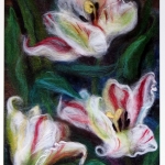 white-tulips-22x28-cm