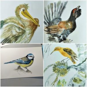 small-Birds-collage