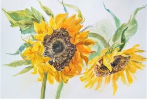 small-two-sunflowers-scaled