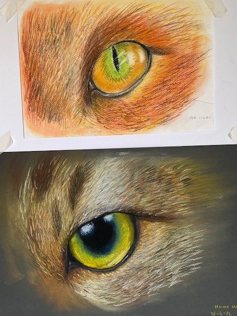 Read more about the article Lovely animal drawings created at online Fundamental Art Skills course with West Midlands Artist Raya Brown