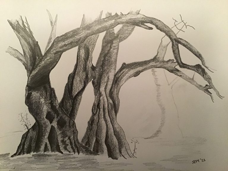 Read more about the article Introduction to Landscape online zoom art course with Worcestershire artist Raya Brown started really well