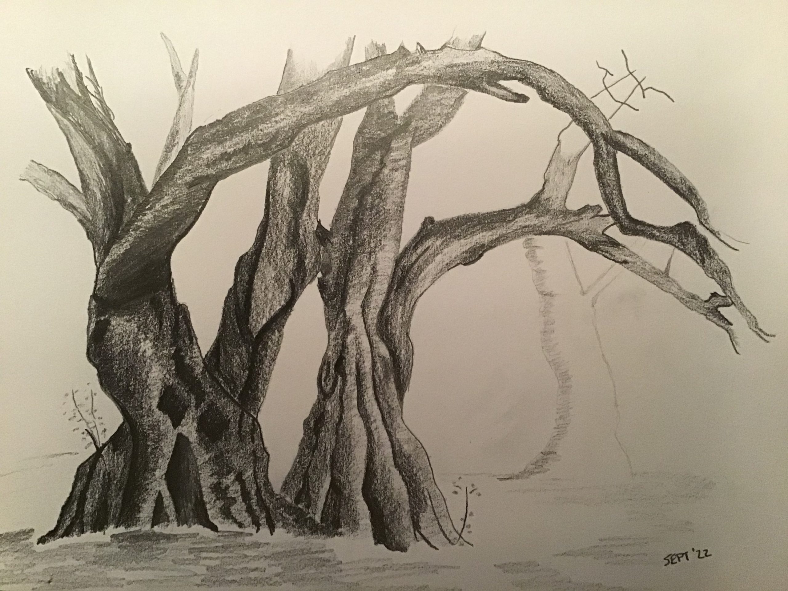Read more about the article Introduction to Landscape online zoom art course with Worcestershire artist Raya Brown started really well