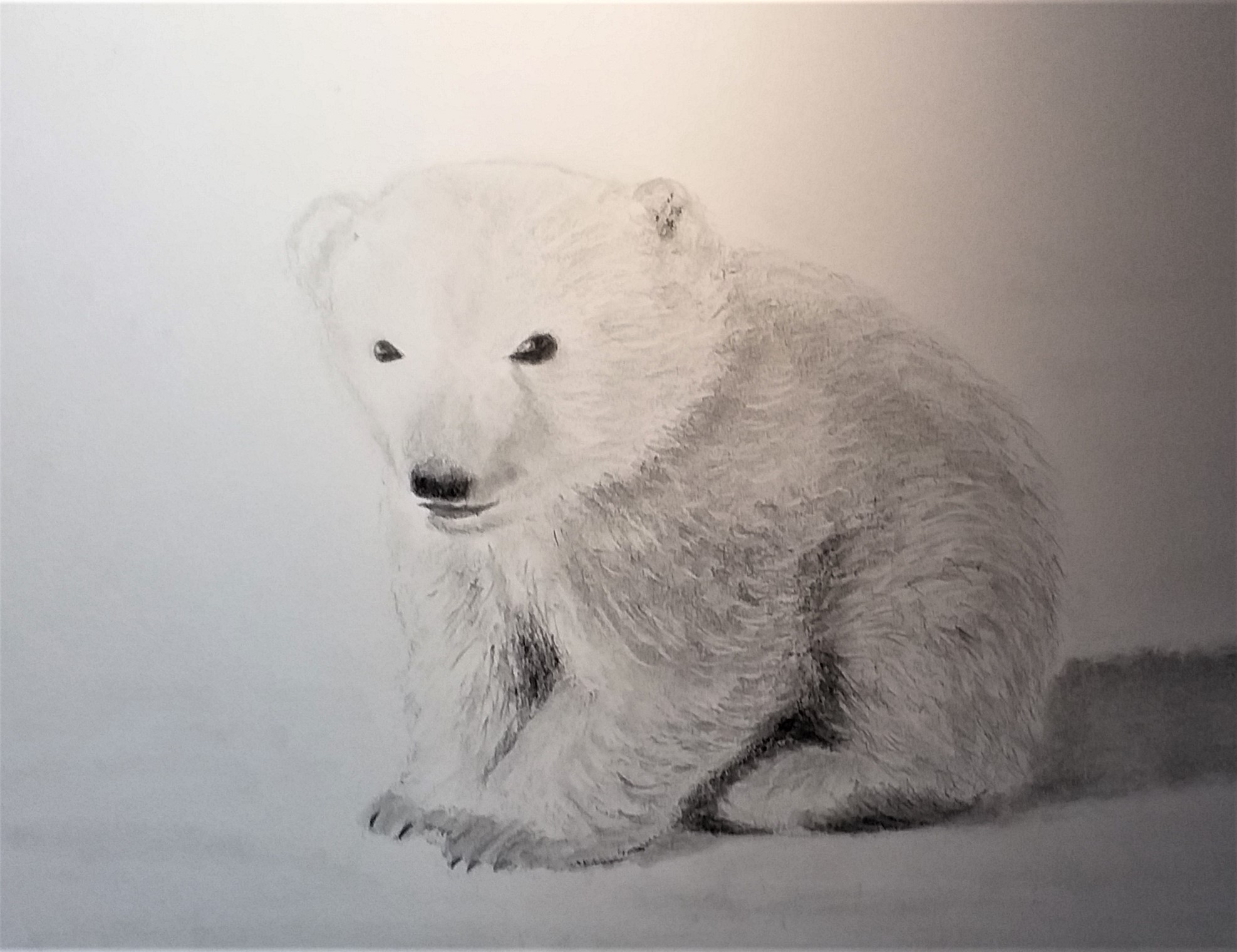 Read more about the article Fundamental Art Skills course for beginners with live tuition via zoom