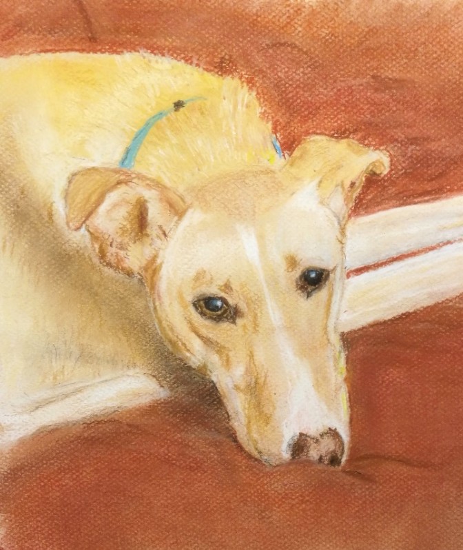 Read more about the article Great drawings of dogs created by students from Magic Wool Art and Craft Studio in Kidderminster