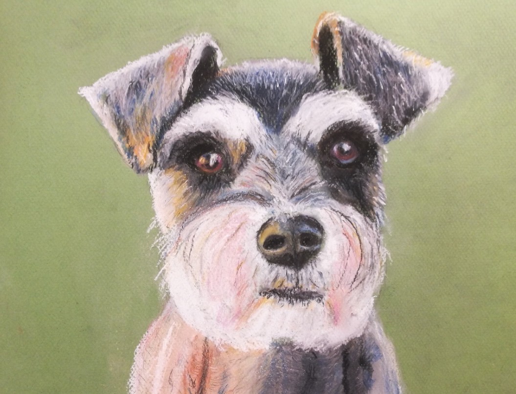 Read more about the article Learn to draw pet portraits at online art course with live tuition by West Midlands artist Raya Brown