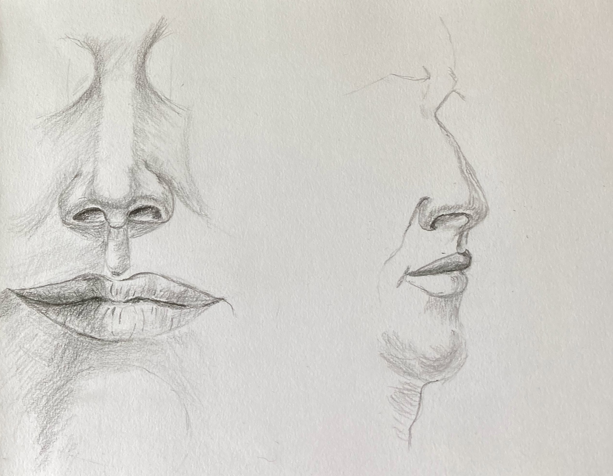 Read more about the article Introduction to Portrait online art course with Worcestershire artist Raya Brown
