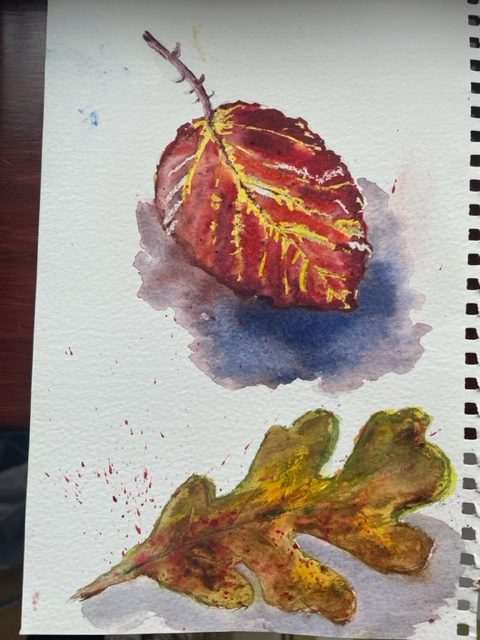Read more about the article Online Watercolour course for beginners had a great start